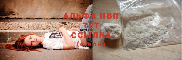 эйфоретик Аркадак