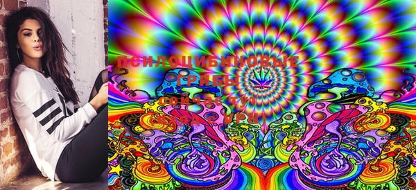 ECSTASY Арсеньев