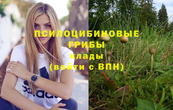 кокс Армянск