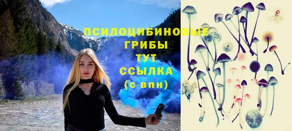 эйфоретик Аркадак