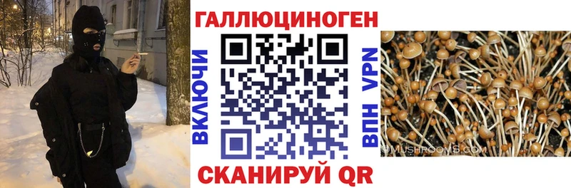 Галлюциногенные грибы мицелий Уяр